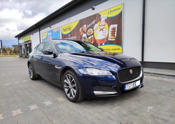 Jaguar XF cena 77900 przebieg: 170000, rok produkcji 2018 z Starachowice małe 211